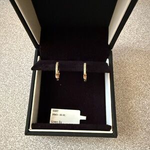 Liven Co 14k Yellow Gold Small Diamond Huggies Earrings